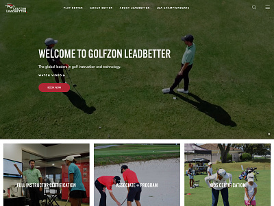 Golfzon Leadbetter design florida logo orlando orlando design web design wordpress