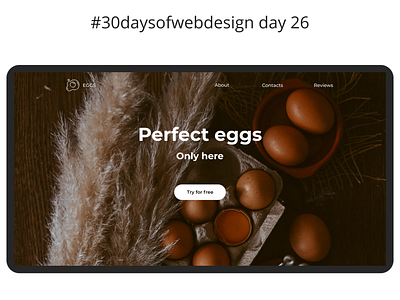 30 days of web design