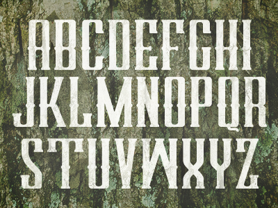 Newfontdribbble