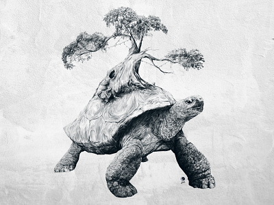 Tortoise Tree - Growth art nerd drawing illustration shell tortoise tree turtle