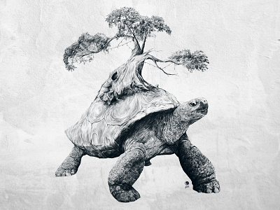 Tortoise Tree - Growth