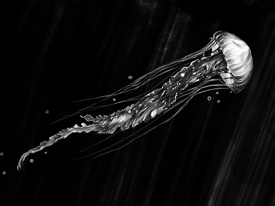 Deep Ocean Jellyfish black and white drawing grace illustration jellyfish ocean