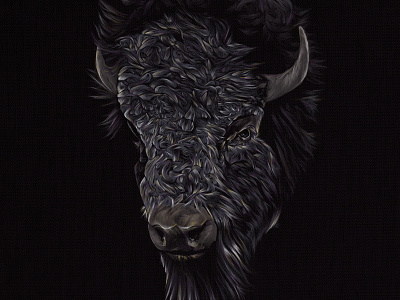 Bison animals bison buffalo colour detail drawing illustration technique wildlife