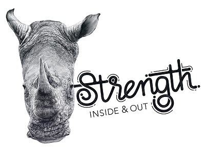 Rhino Strength africa animals beast rhino rhinoceros safari strength strong
