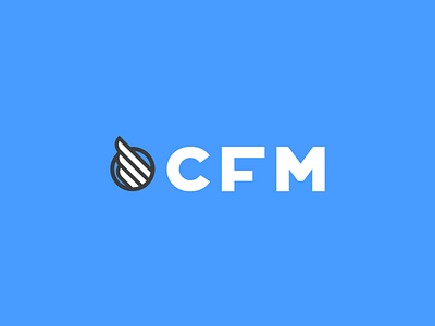CFM airline charter jet logo plane wing