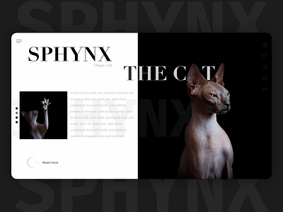 Sphynx cat design figma style ui web