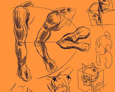 Just a sketch adobe illustrator anatomy digital illustration learning practice sketch test vector