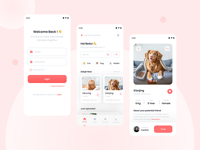 Pet Adoption App - Layout Exploration