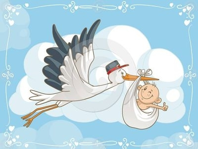 Baby card vector