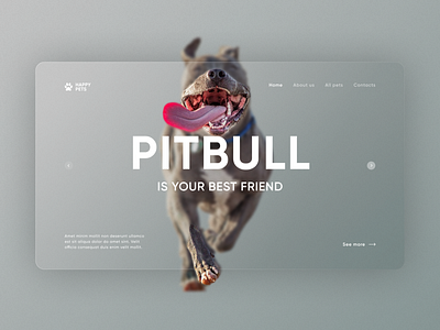 happy pets animal shelter concept animal shelter branding design dog inspiration pitbull ui ux лендинг приютживотных собака