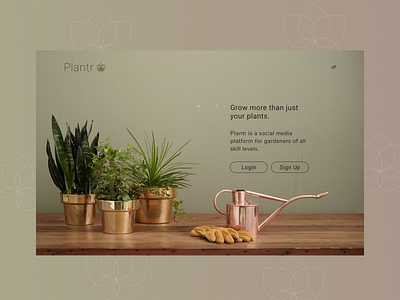 Plantr: A Social Media for Gardeners figma plants uidesign uiux uiuxdesign webdesign webpage website