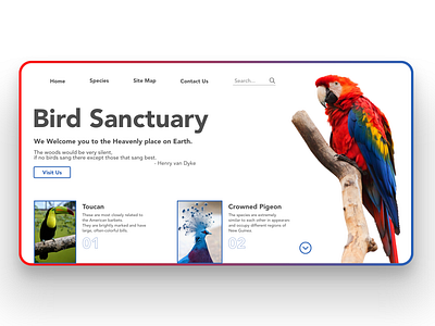 Bird Sanctuary - Landing Page Concept Design bird sanctuary birds branding design landign page landing page design minimal ui ui ux ux web web design webdesign wildlife sanctuary