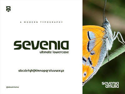 Sevenia Modern Lowercase Font