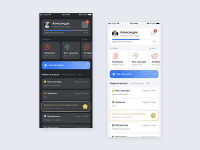 Dnevnik.ru mobile app concept