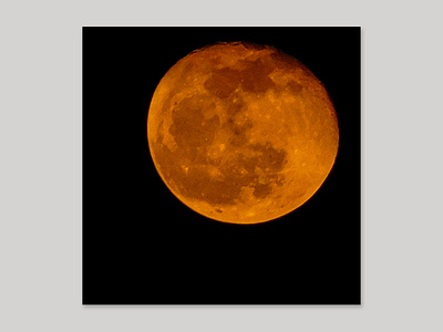 Digital Camera Photography blood moon camera digital camera photography moon moon photography photography zoom photography