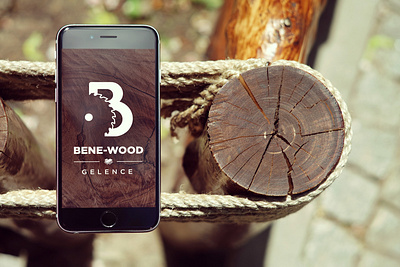 BENE WOOD | Brand identity brand identity branding design logo logodesign wameleon wameleondesign