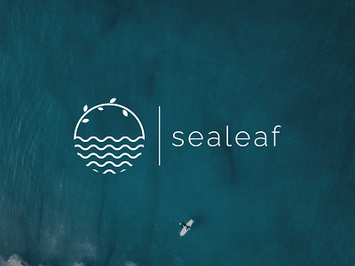 SeaLeaf Logo branding agency branding concept branding design
