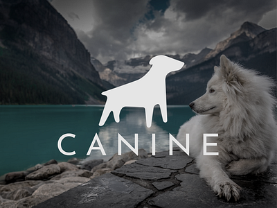 Canine clothing brand