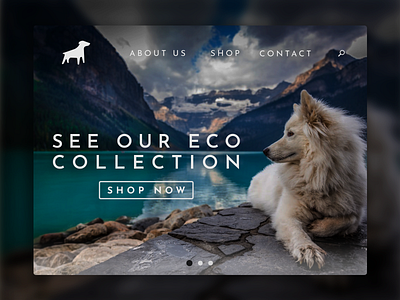 Canine online store