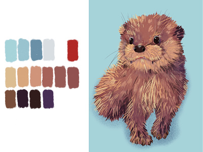 Otter animals cartoon illustration procreate