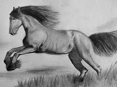 Horse Drawing Test horse old school pencil drawing
