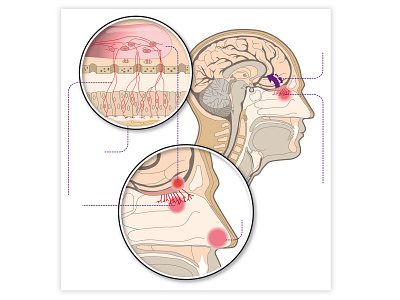 bio biology illustration vector