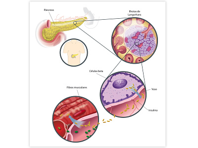 bio biology illustration vector