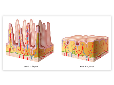 bio biology illustration vector