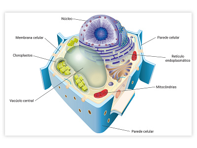 bio biology illustration vector
