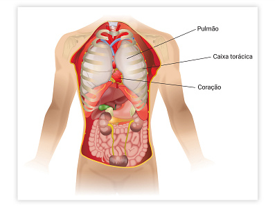 bio biology illustration vector