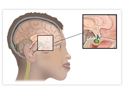 bio biology illustration vector