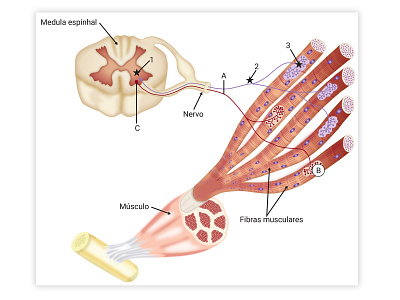 bio biology illustration vector