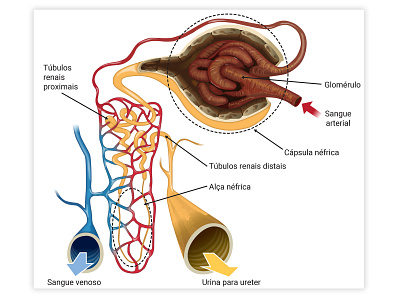 bio biology illustration vector