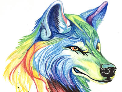 Wolf color contrast design drawing illustration pencil tbt throwback