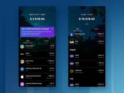 Banking App Concept