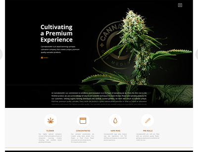 Cannabiotix NV branding cannabis design webdesign weed