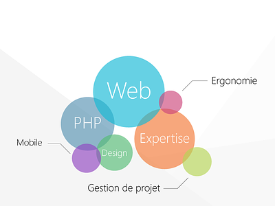 Web agency skills circles colors design french illustration php rouen skills web web agency wixiweb