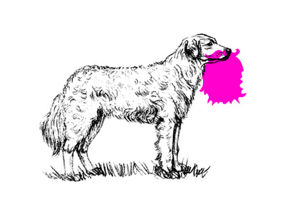 Golden Retrievers - logo dev beard dog ideas sketches