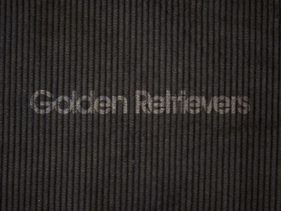 Golden Retrievers - logo dev ideas sketches