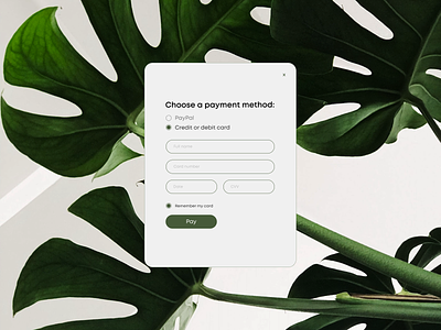Design a credit card checkout form credit card checkout dailyui design