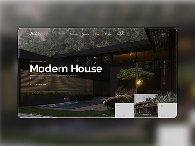 Modern House Concept