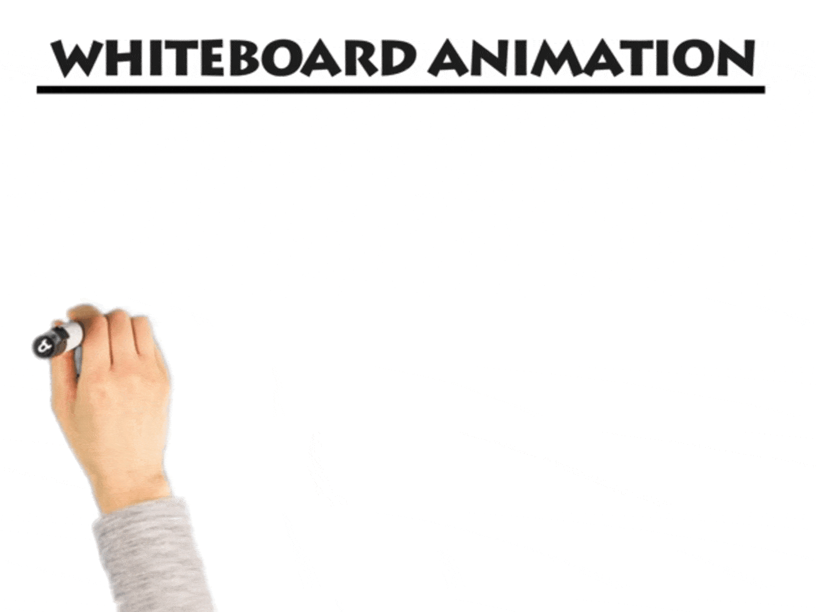 Whiteboard Animation art branding design flat illustration vector web