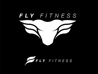 Fly Fitness