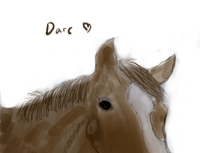 Darc headshot cea drawing horse krugerportfolio portfolio procreate