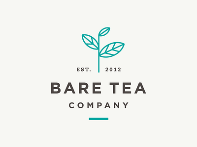 Bare Tea bag beverage branding label leaf logo new york nyc organic packaging specialty tea