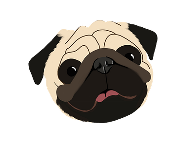 Pipo pug