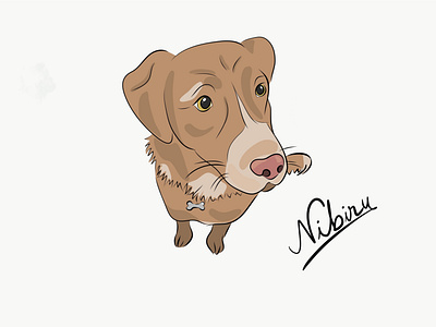 Nibiru dog dog illustration illustration nibiru simple illustration vectorart