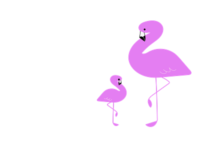 swan animal 01