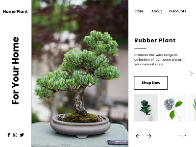 Rubber Plant App design landing design ui ux web website