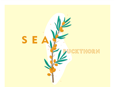 SEA-buckthorn berry design flat illustration minimal vector